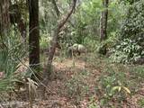 00 Old Woods Road - Photo 5