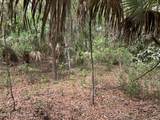 00 Old Woods Road - Photo 6