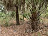 00 Old Woods Road - Photo 8