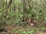 00 Old Woods Road - Photo 9