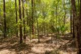 111 Gator Trail - Photo 6