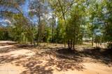 111 Gator Trail - Photo 7