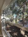 31 Magnolia Drive - Photo 13