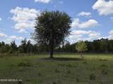 18126 County Road 121 - Photo 12