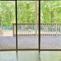 656 Chestwood Chase Drive - Photo 47