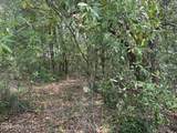 176 Maple Lane - Photo 4