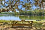 115 Lake Susan Road - Photo 40