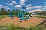 3087 Rustic Deer Way - Photo 60