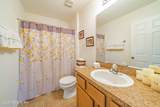 6054 Chestnut Gelding Lane - Photo 35