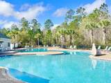 6054 Chestnut Gelding Lane - Photo 4