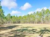 6054 Chestnut Gelding Lane - Photo 45
