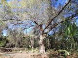 910 Paradise Boulevard - Photo 2