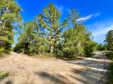 125 Saddle Trail - Photo 6