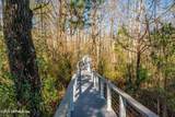 3060 Free Bird Loop - Photo 75