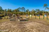 3060 Free Bird Loop - Photo 85