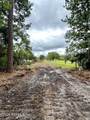 13314 Peaceful Road - Photo 16