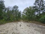 248 Saddleback Trail - Photo 4