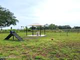 2828 Hammock Dale Court - Photo 41