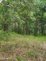 869 County Road 308B - Photo 3