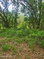 869 County Road 308B - Photo 5