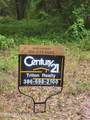 869 County Road 308B - Photo 6