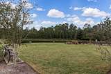 10291 Pavnes Creek Drive - Photo 47