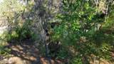 86288 Macaw Road - Photo 11
