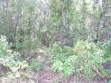 3725 County Road 315A - Photo 10