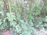 3725 County Road 315A - Photo 13