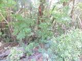 3725 County Road 315A - Photo 14