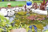 164 Rialto Drive - Photo 47