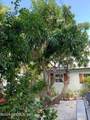 1136 Shore Drive - Photo 38