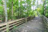 2482 Glow Wood Court - Photo 62