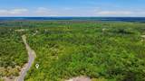 13547 Settindown Drive - Photo 4