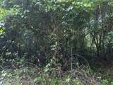 108 Ridgeline Avenue - Photo 4