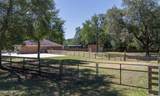 48 Horsetail Avenue - Photo 31