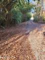 45059 Taylor Road - Photo 3