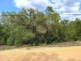 5750 Bitter Root Street - Photo 2