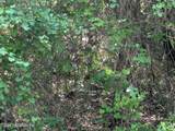 5662 Caribbean Circle - Photo 4