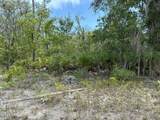 00 Donovan Avenue - Photo 3