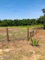1551 State Road 100 - Photo 4