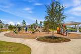 132 Dahlia Falls Drive - Photo 40
