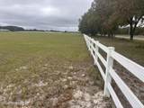5411 State Road 21 - Photo 15