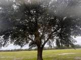 5411 State Road 21 - Photo 7