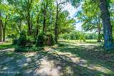 13733 John Williams Road - Photo 50