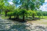 13733 John Williams Road - Photo 53