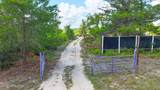 229 Poinciana Drive - Photo 2