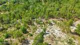 229 Poinciana Drive - Photo 8