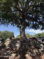 8 Mimosa Trail - Photo 29