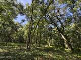 241 Indian Lakes Forest Road - Photo 29